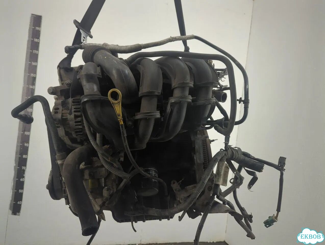 Двигатель Ford Fusion fyja, fyjb, fyjc фото 5