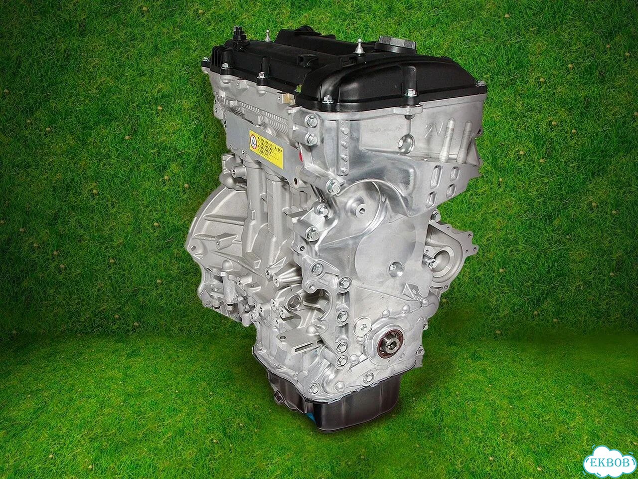 Двигатель новый G4NA 2.0 Hyundai-Kia фото 1