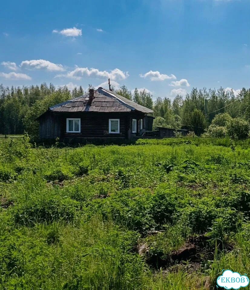 Дом 52,1 м² на участке 9,7 сот. фото 9
