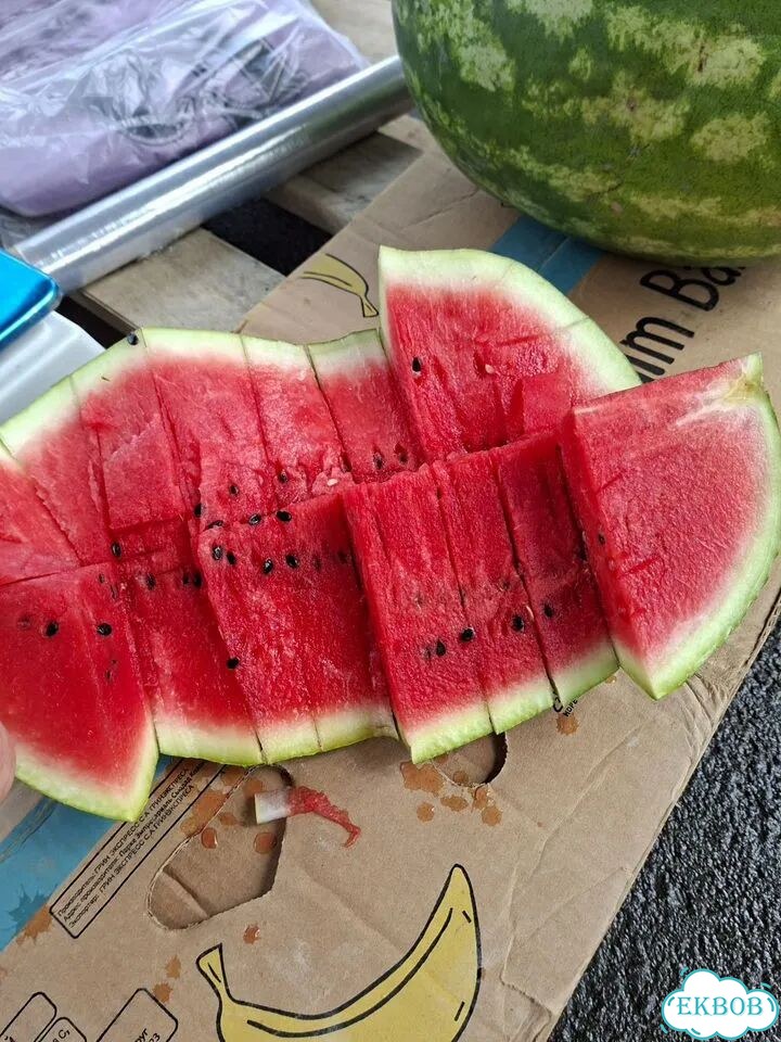 Арбузы Казахстан фото 4