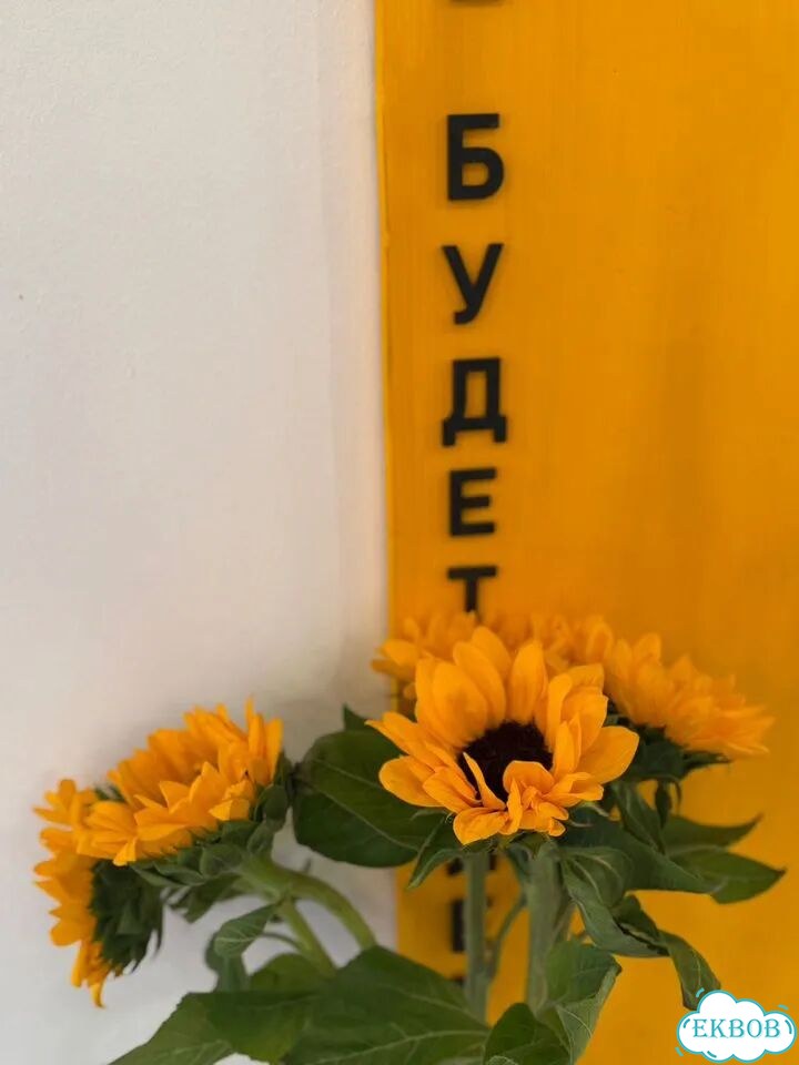 Мобильный фотограф фото 4