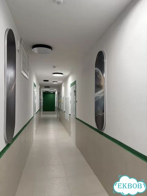 1-к. квартира, 35 м², 19/25 эт. фото 9