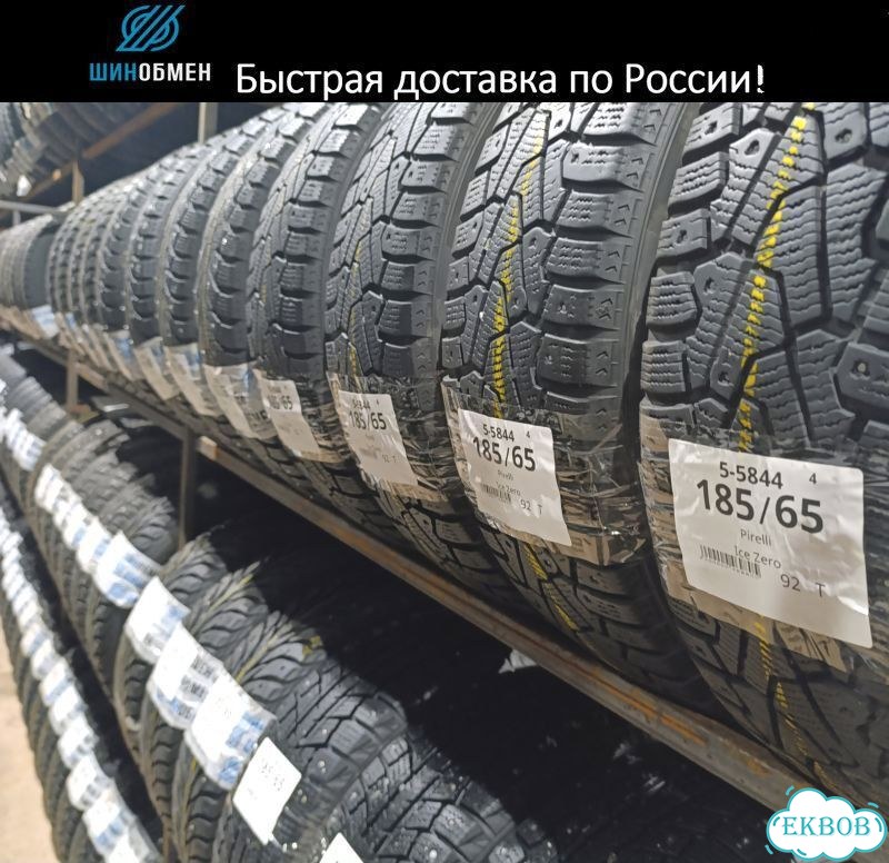Formula Ice 205/55 R16 91T фото 1
