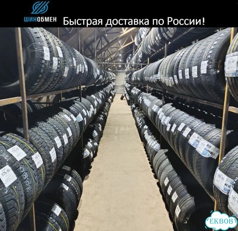 Formula Ice 205/55 R16 91T фото 1