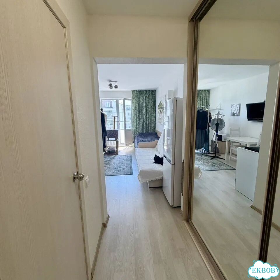 Квартира-студия, 23,9 м², 4/5 эт. фото 10