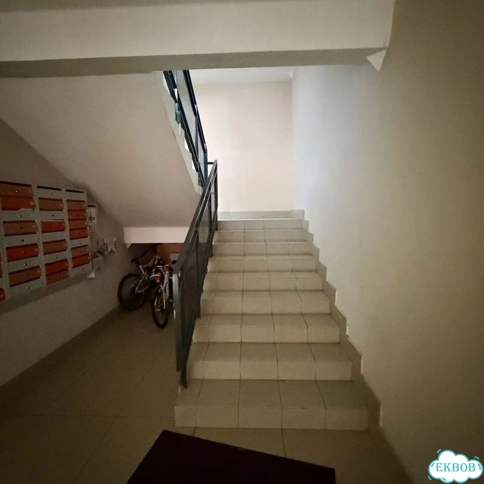 Квартира-студия, 23,9 м², 4/5 эт. фото 15