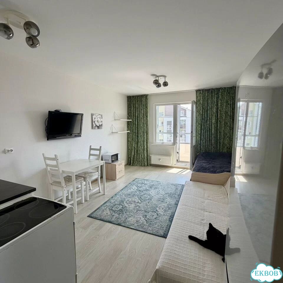 Квартира-студия, 23,9 м², 4/5 эт. фото 2