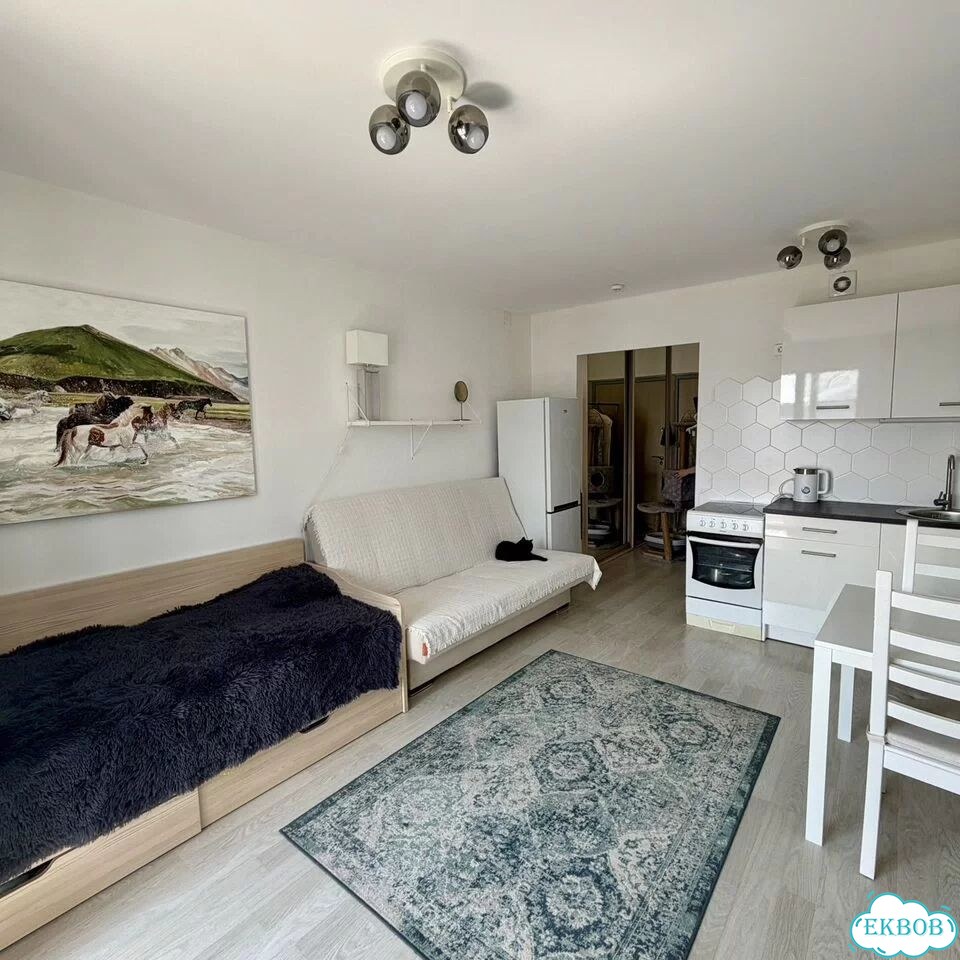 Квартира-студия, 23,9 м², 4/5 эт. фото 4