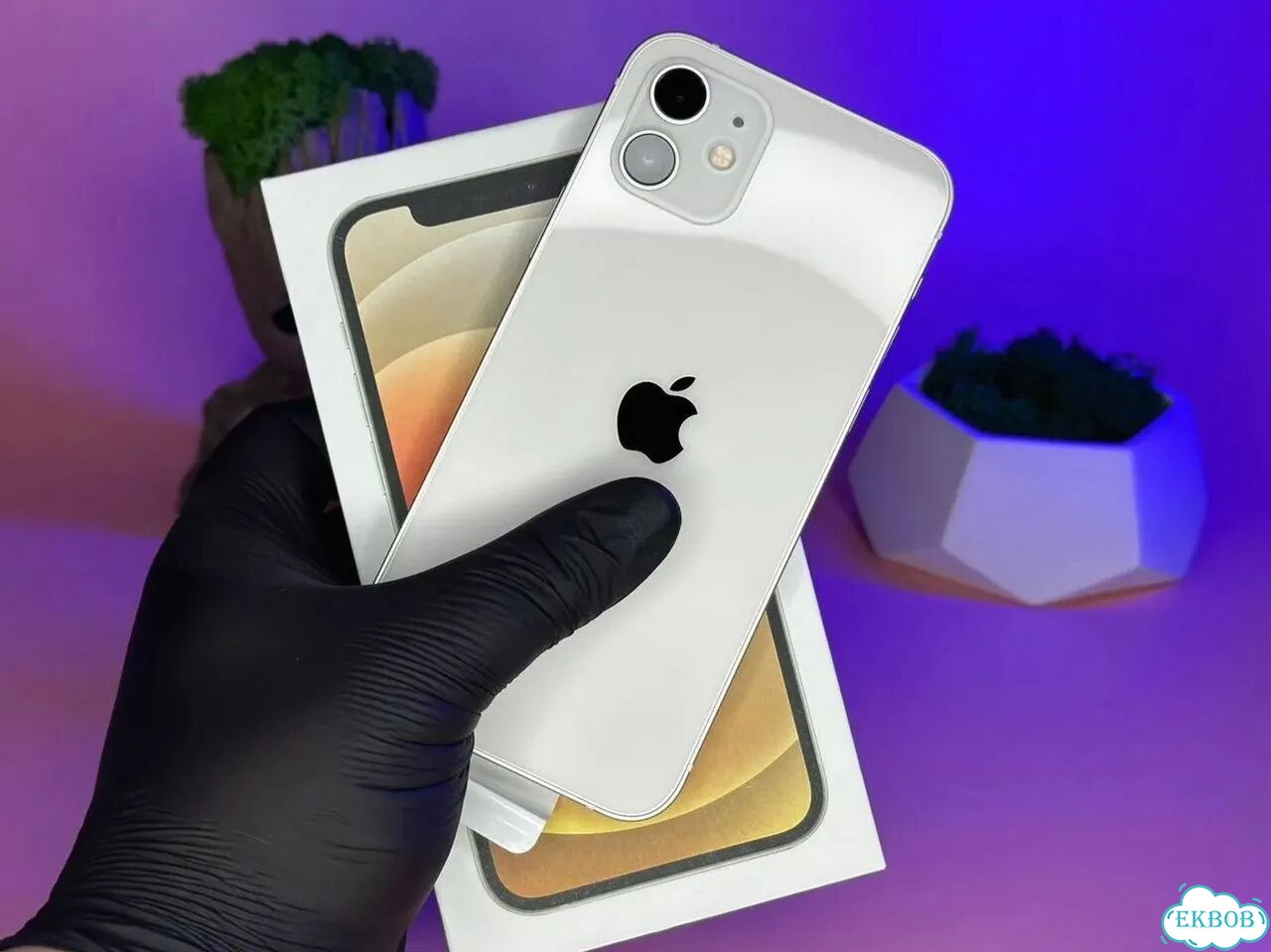 iPhone 12 mini, 256 ГБ, SIM + eSIM фото 4