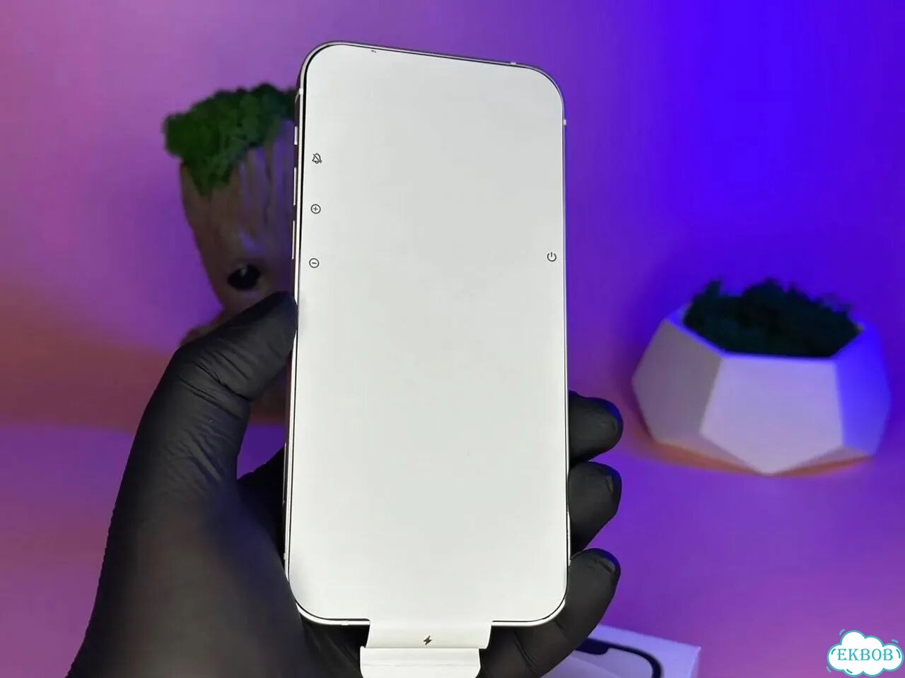 iPhone 12 mini, 256 ГБ, SIM + eSIM фото 7