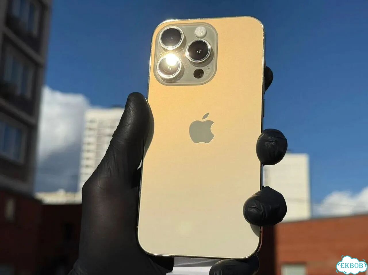 iPhone 13 Pro, 1 ТБ, SIM + eSIM фото 1