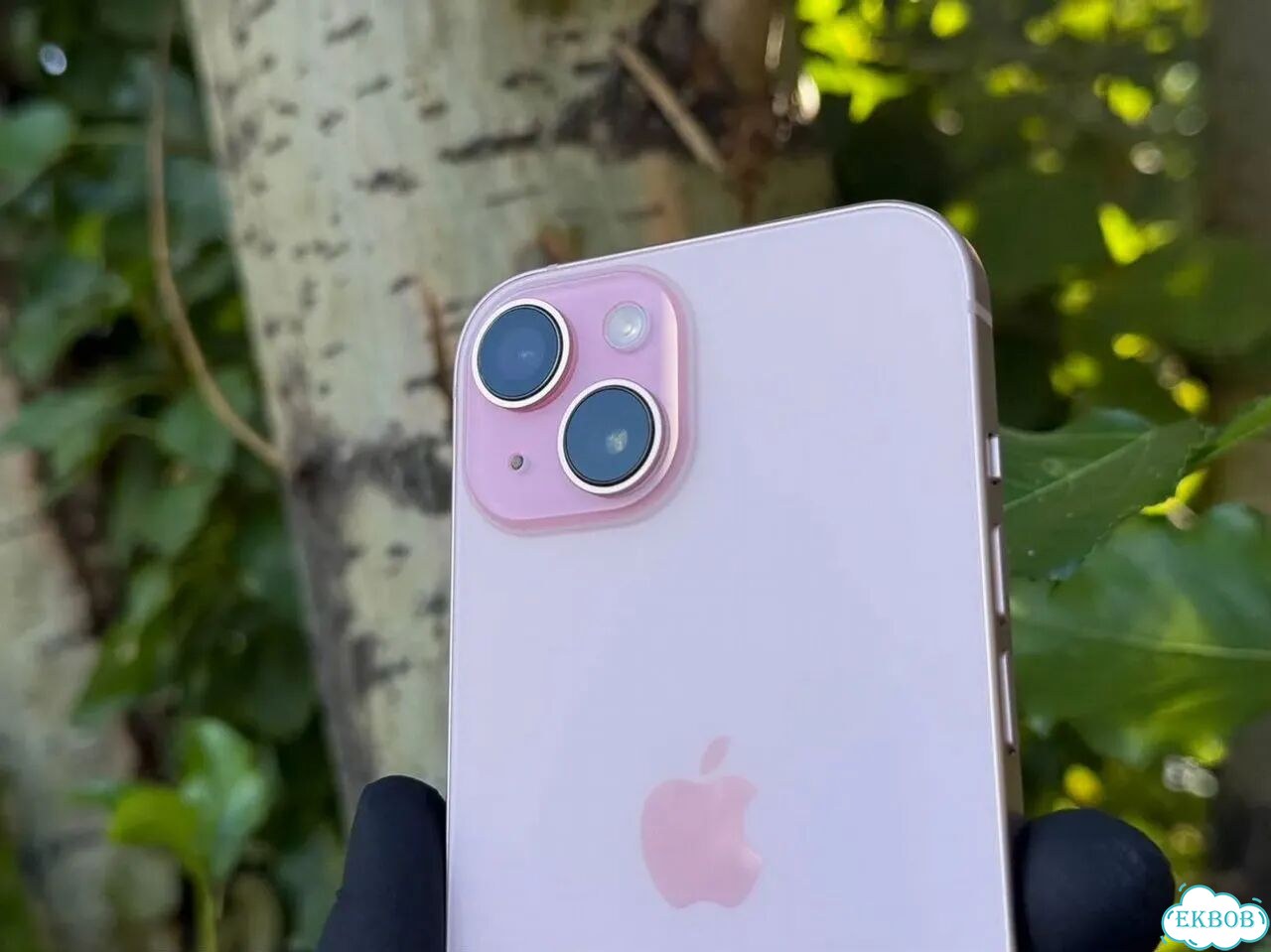 iPhone 15, 256 ГБ, SIM + eSIM фото 4
