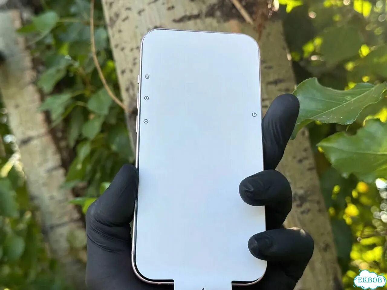 iPhone 15, 256 ГБ, SIM + eSIM фото 7
