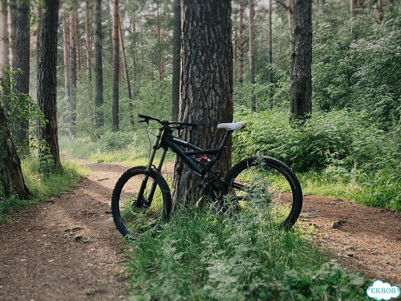 Велосипед Mongoose 26'' фото 10