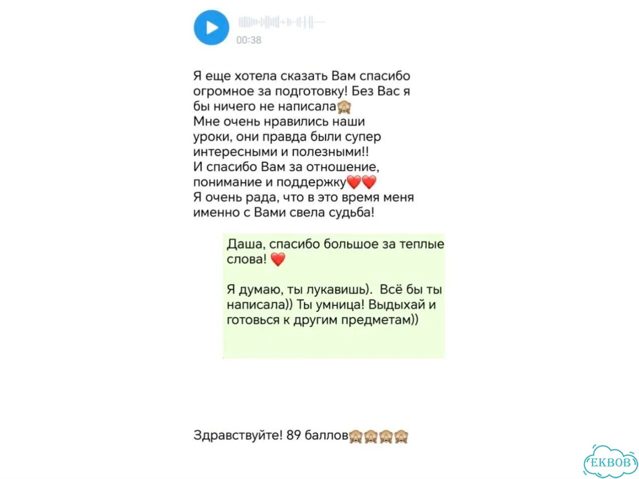 Репетитор/подготовка ОГЭ /егэ/русский/литература фото 6