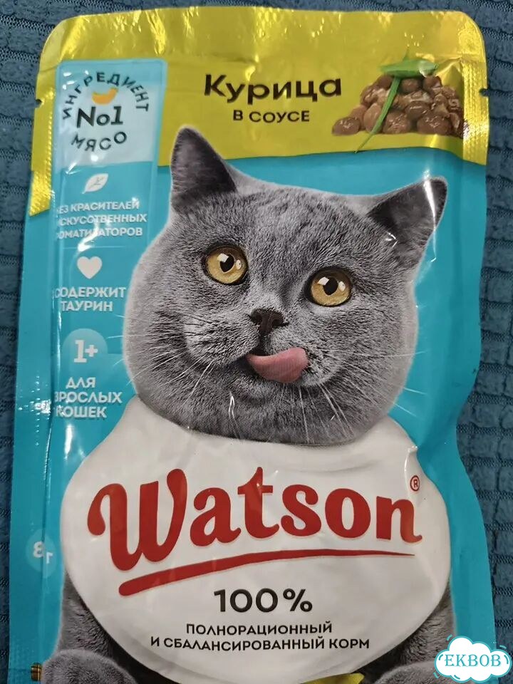 Влажный корм для кошек фото 1