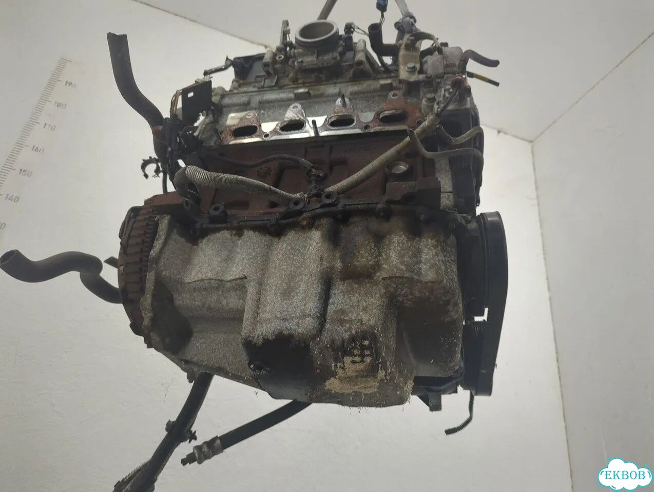 Двигатель Renault Megane K4M 700 фото 8