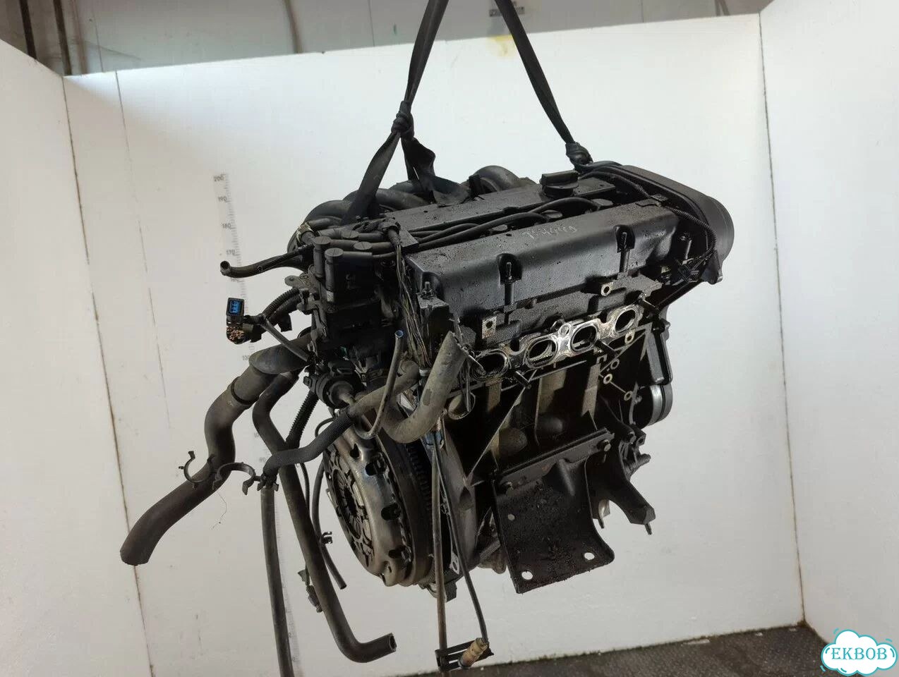 Двигатель Ford Focus 2 shda, shdc фото 1