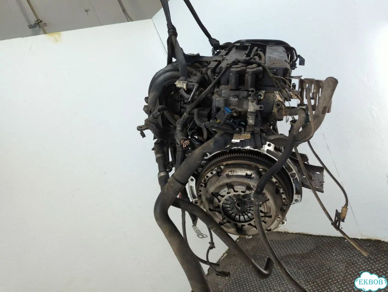 Двигатель Ford Focus 2 shda, shdc фото 3
