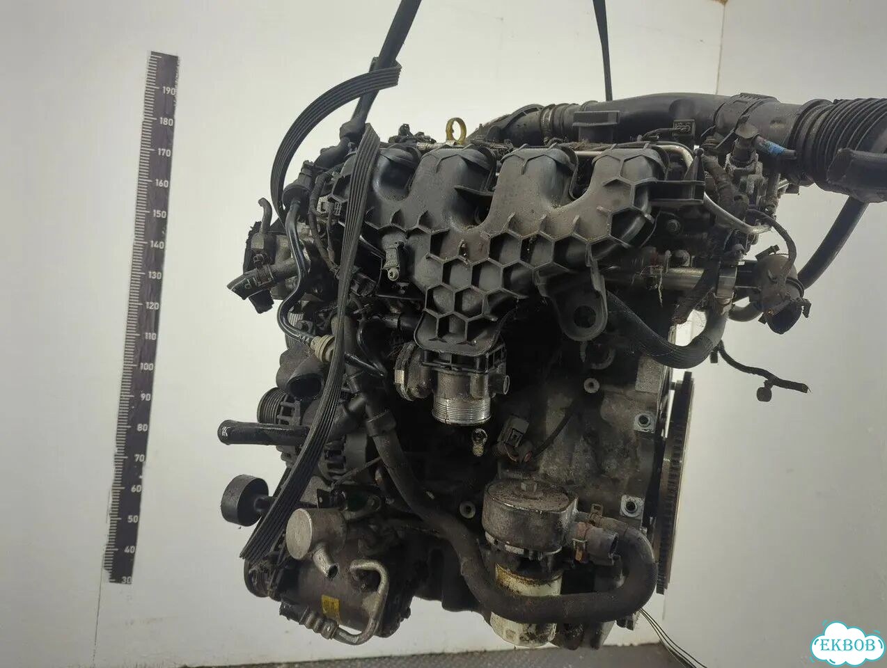 Двигатель Ford S-Max tpwa фото 1