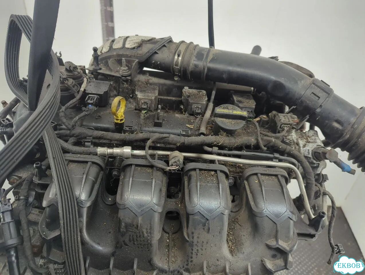 Двигатель Ford S-Max tpwa фото 7