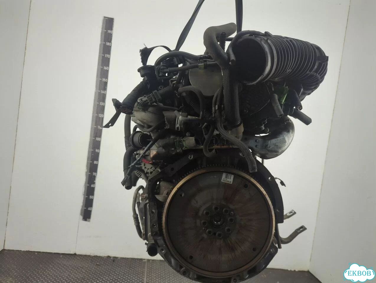 Двигатель Renault Laguna 3 M9R 815 фото 1