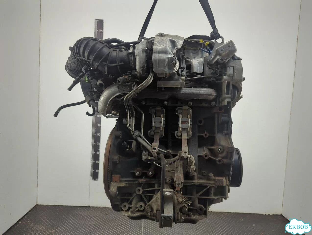 Двигатель Renault Laguna 3 M9R 815 фото 3