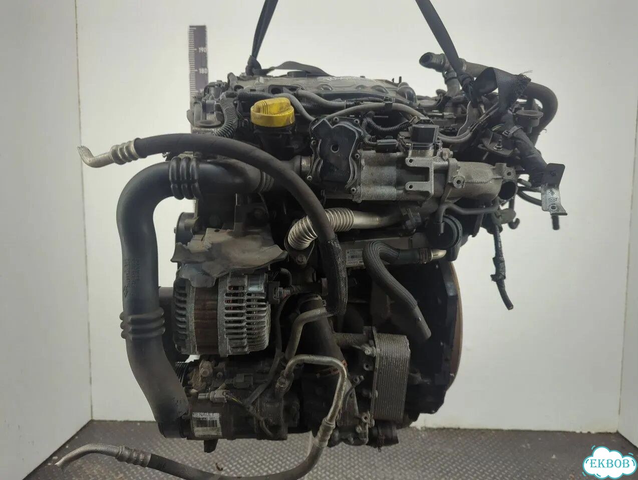 Двигатель Renault Laguna 3 M9R 815 фото 5