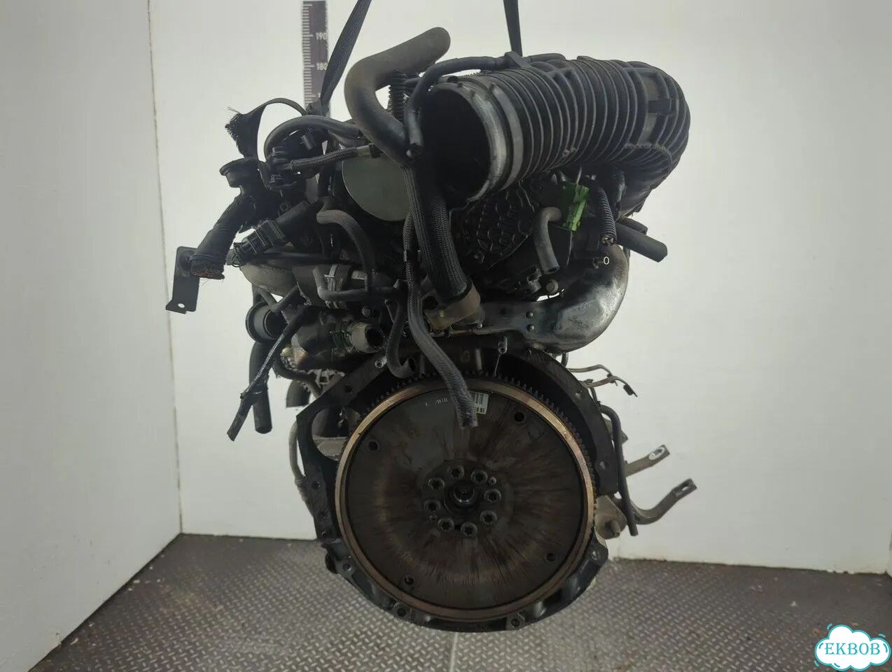 Двигатель Renault Laguna 3 M9R 815 фото 7