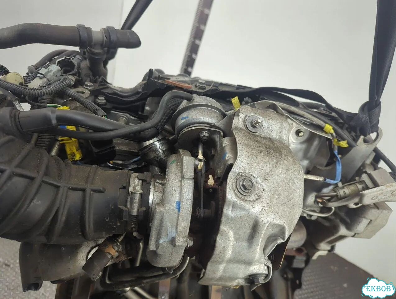 Двигатель Renault Laguna 3 M9R 815 фото 8
