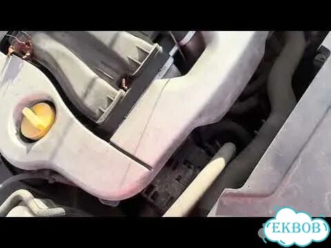 Двигатель Renault Laguna 3 M4R 704 фото 2