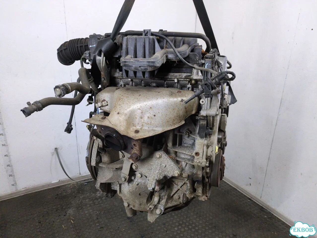 Двигатель Renault Laguna 3 M4R 704 фото 3