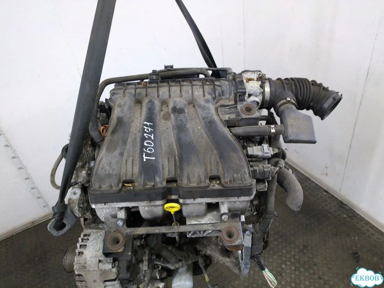Двигатель Renault Laguna 3 M4R 704 фото 6
