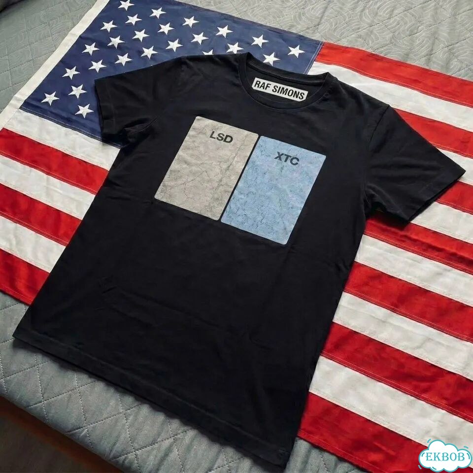 Футболка Raf Simons lsd mix архив tee фото 2