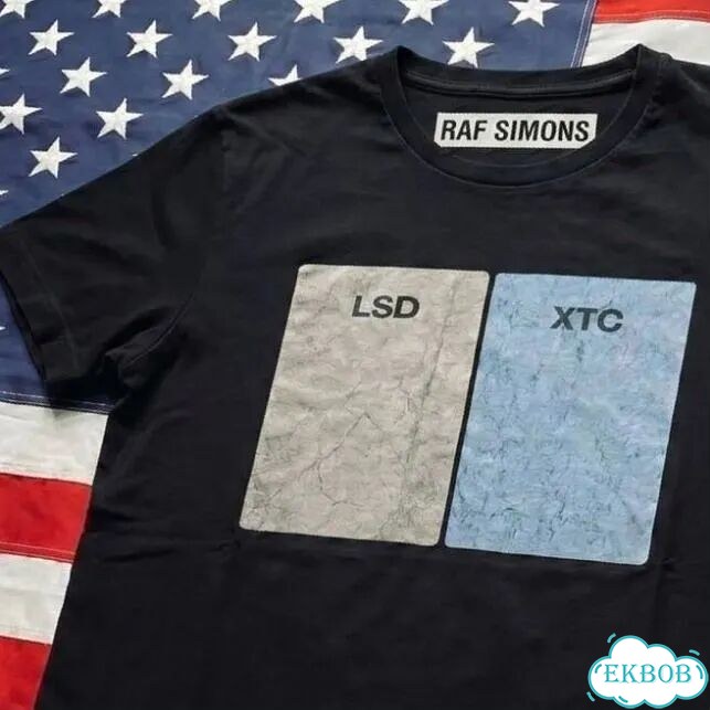 Футболка Raf Simons lsd mix архив tee фото 3
