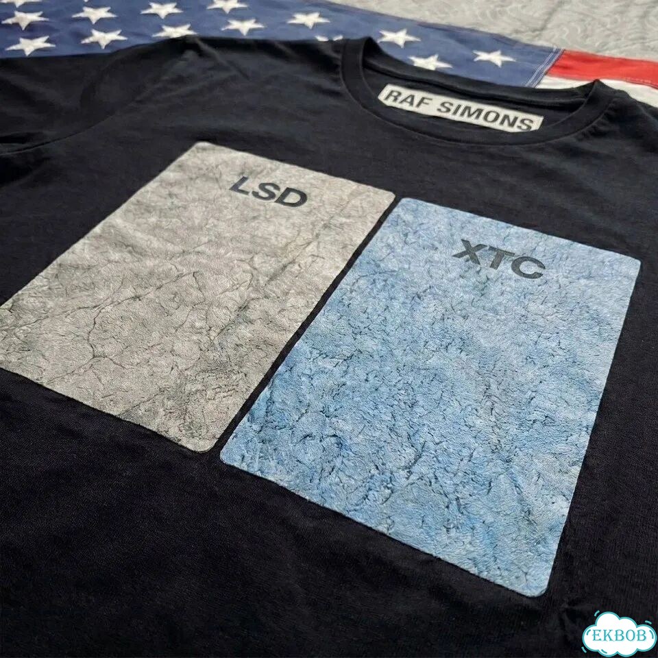 Футболка Raf Simons lsd mix архив tee фото 5