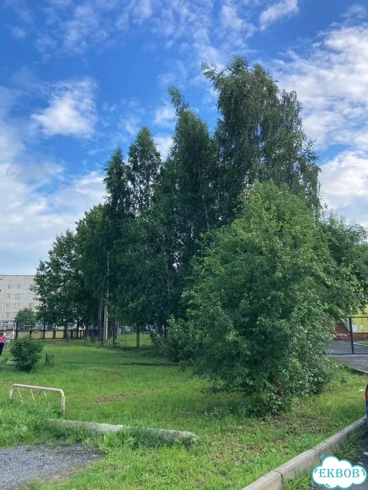 2-к. квартира, 50 м², 1/5 эт. фото 18
