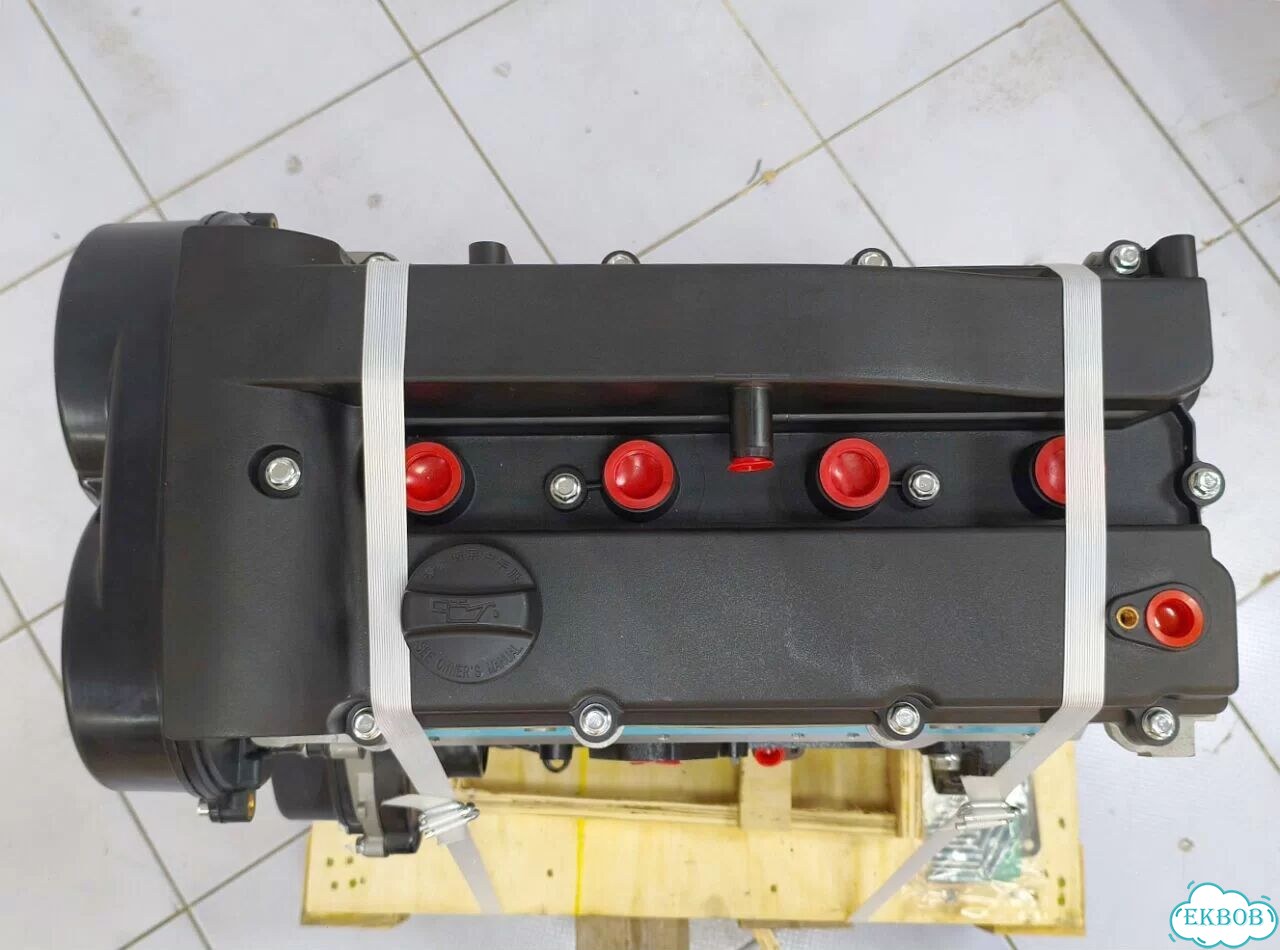 Двигатель 1.8 SQR481FC на Tiggo фото 7