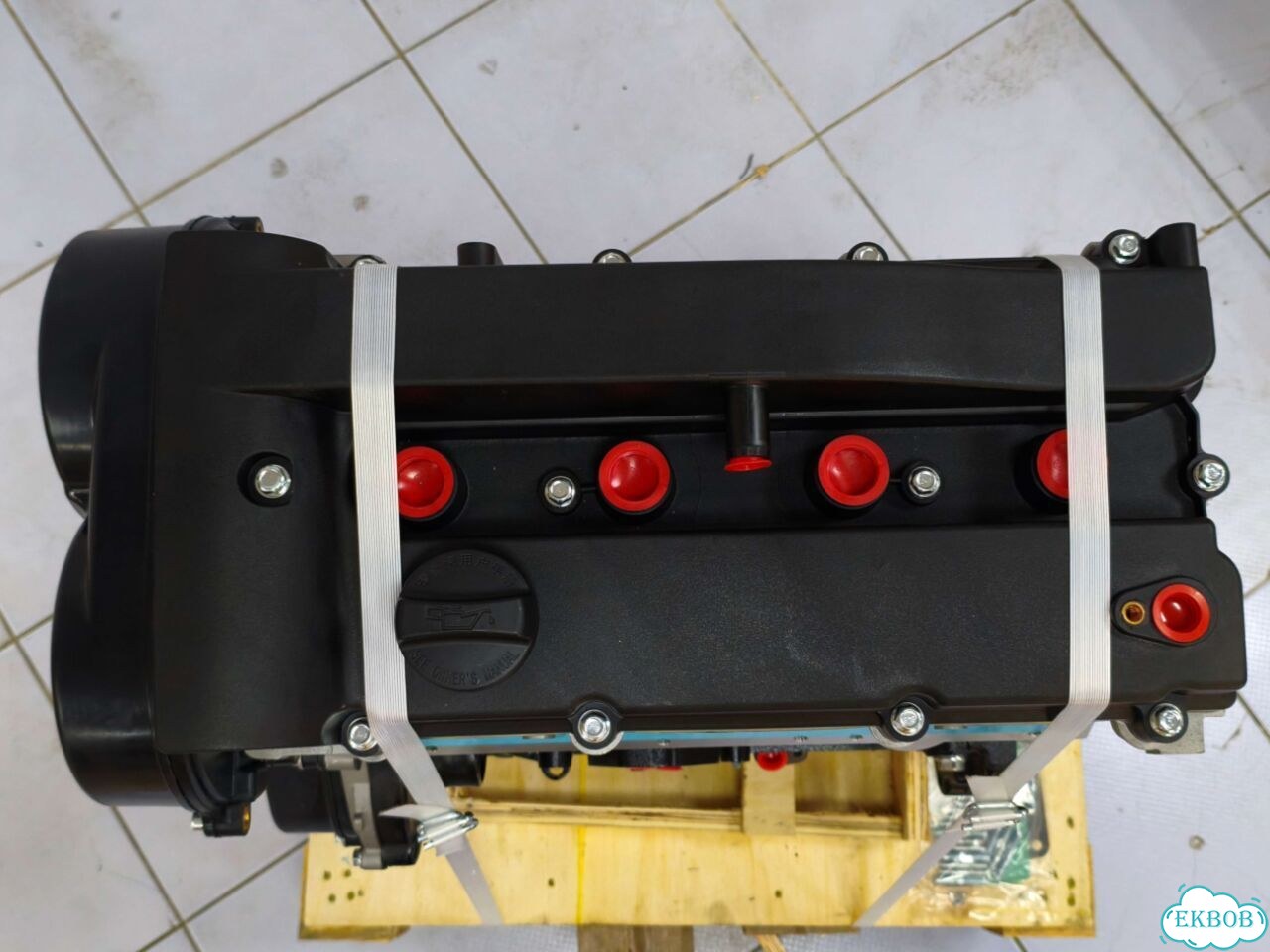 Двигатель SQR481FC в наличии фото 7