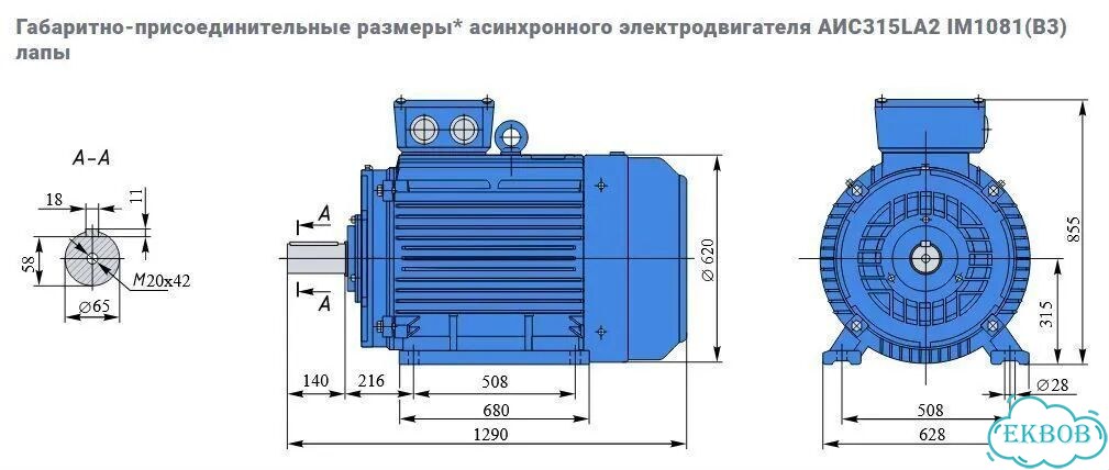 Электродвигатель евростандарта аис 160кВт/3000об фото 3