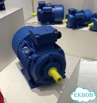 Электродвигатель евростандарта аис 355кВт/3000об фото 1