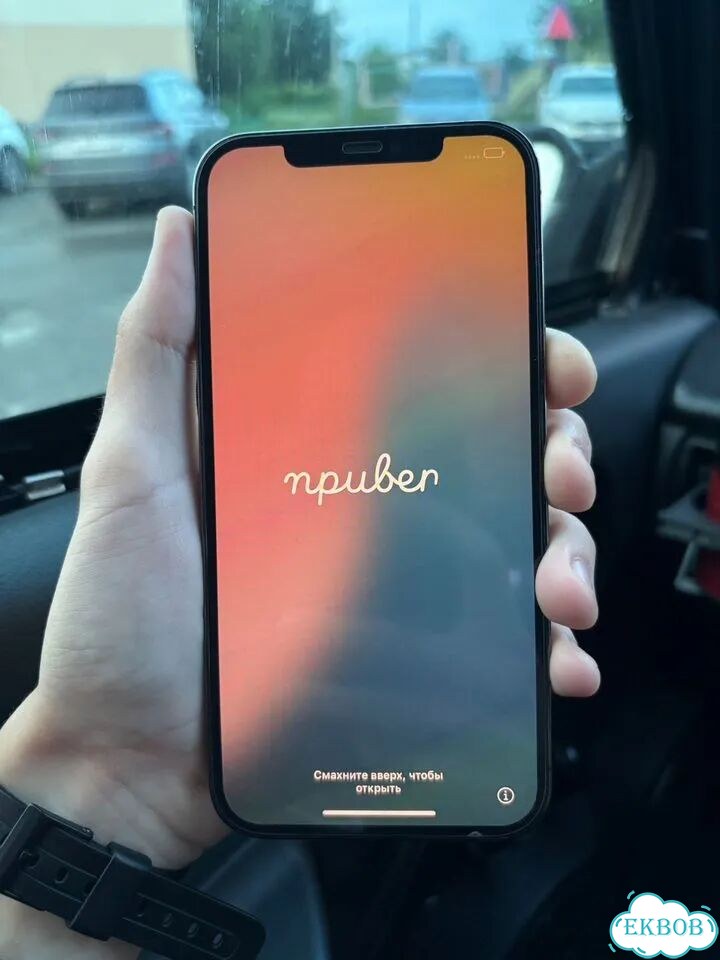 iPhone 12 Pro Max, 256 ГБ, 1 SIM фото 2