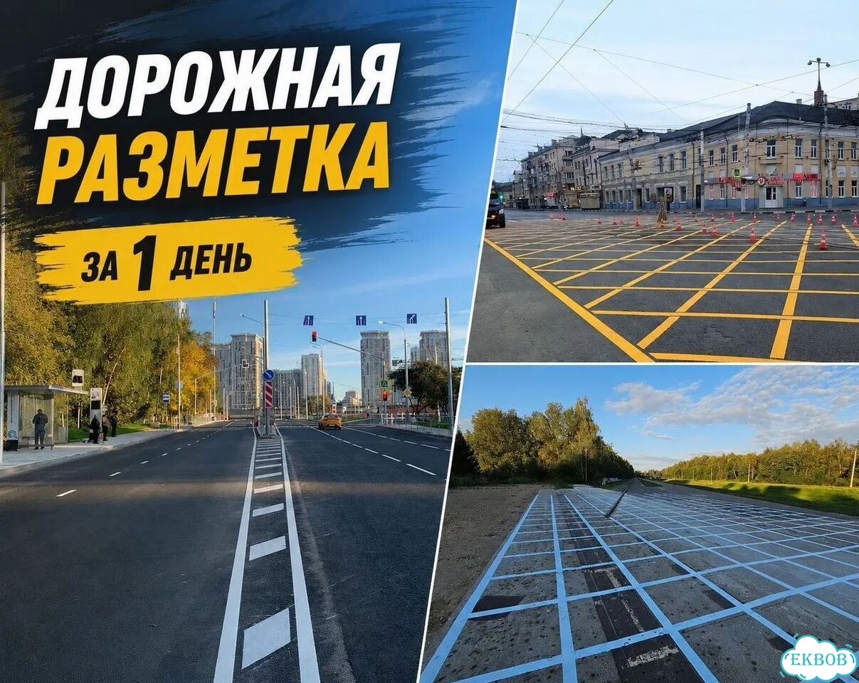 Дорожная разметка фото 1