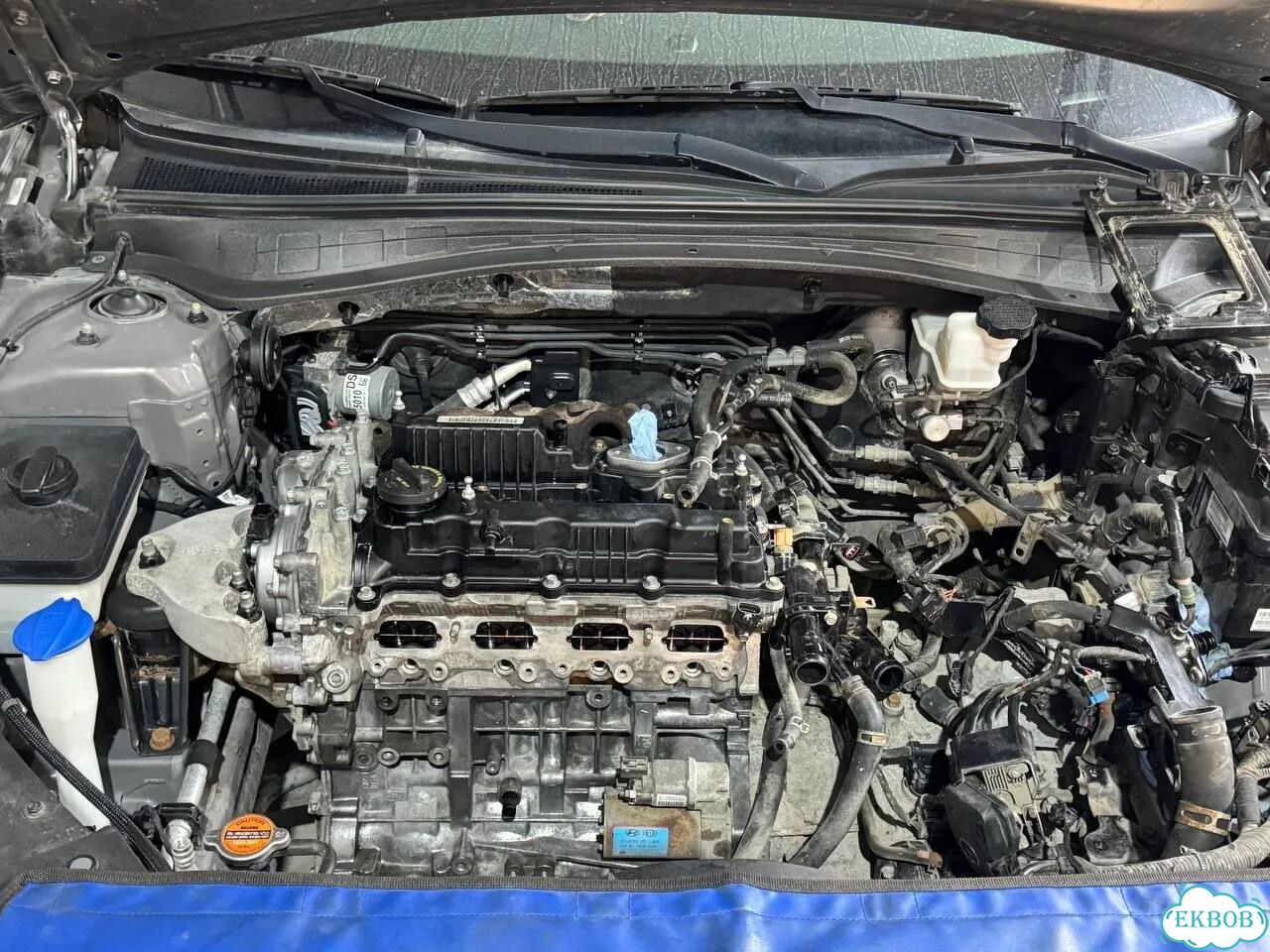 Ремонт двигателей: Kia Sportage, Kia Sorento, Rio фото 10