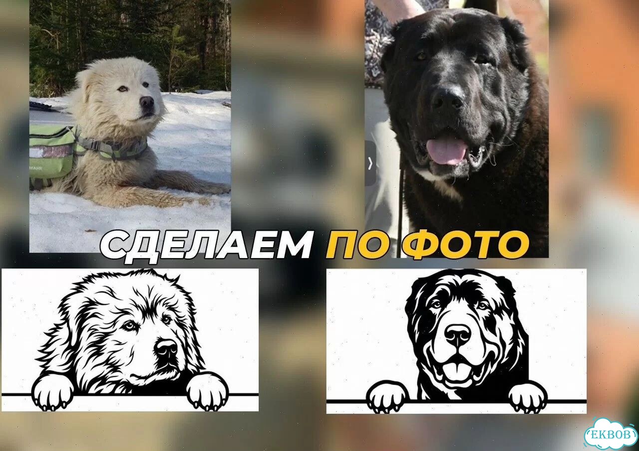 Красивая вывеска на дом с животными фото 9