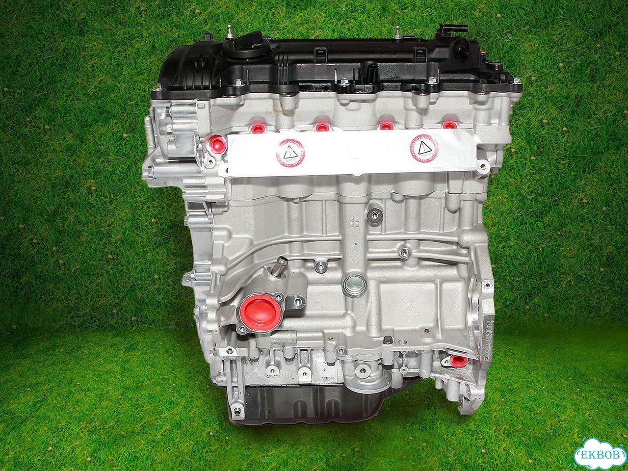 Двигатель новый G4NA 2.0 Hyundai-Kia фото 3