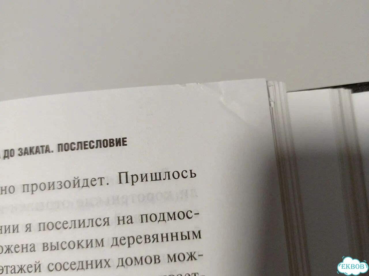 Ельцин от рассвета до заката фото 6