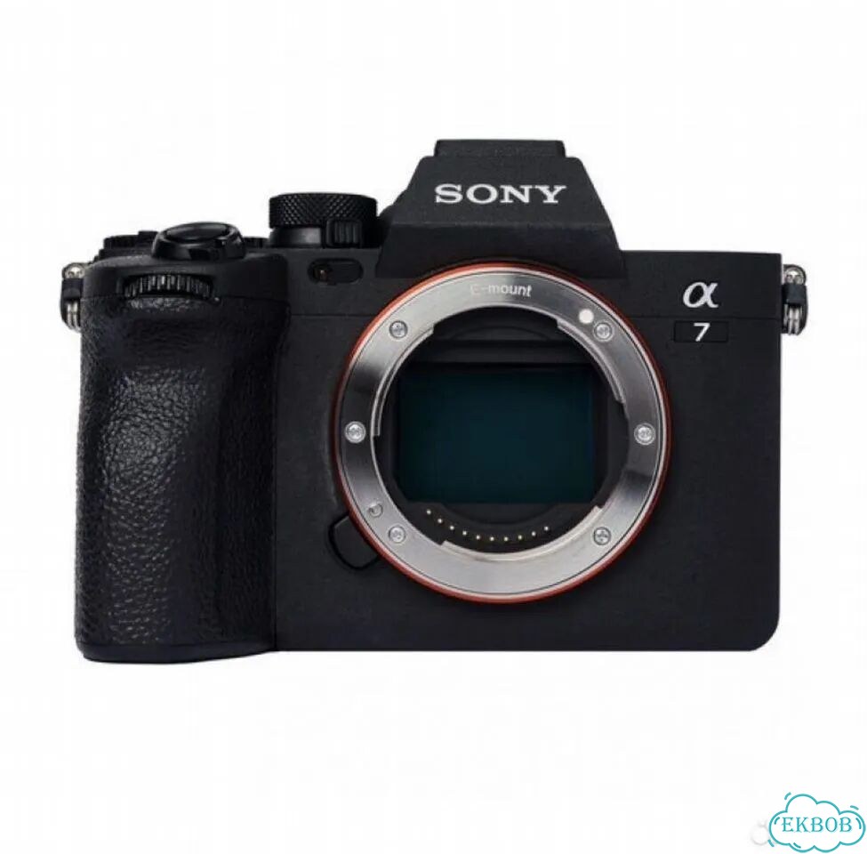 Sony A7IV+GM II 24-70 F2.8 фото 1