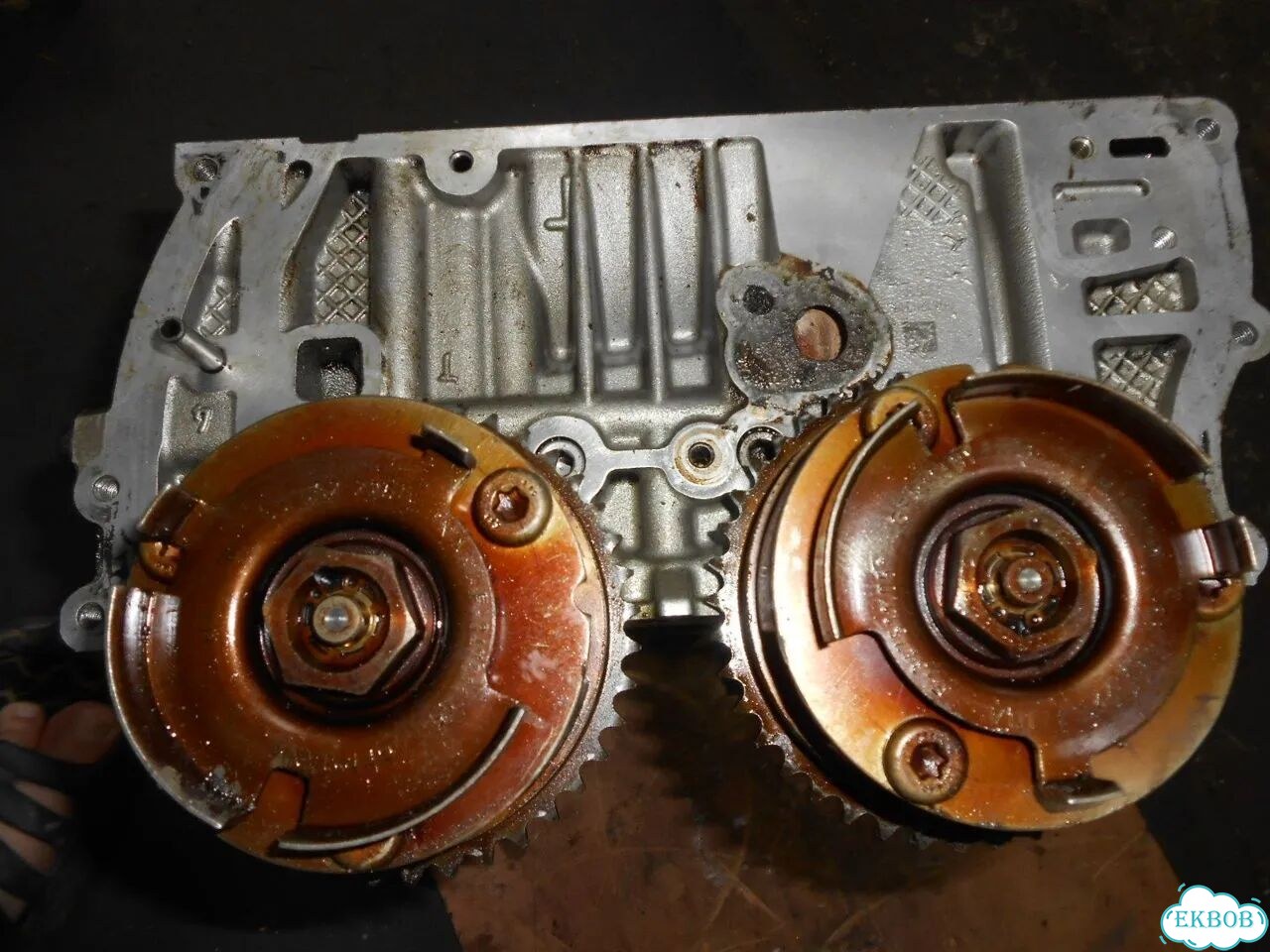 Головка блока цилиндров Opel A14NET 55565291 фото 3