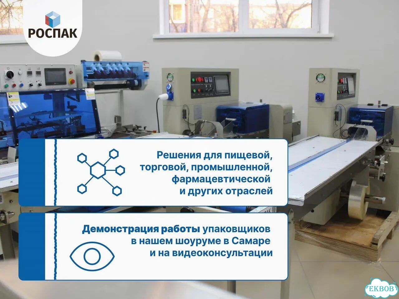 Маркировочное оборудование Rospak CO2 и Fiber / Официальная гарантия фото 6